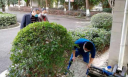 ΢��ͼƬ_202002122147412