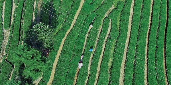 ������Ե�����޸�